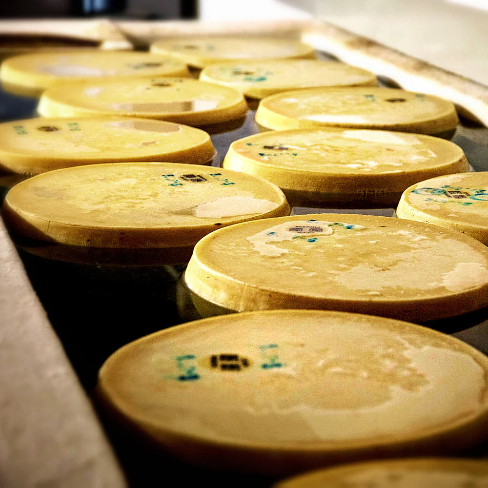 Bianca Modenese (White Cow) Parmigiano Reggiano DOP - 10 oz - Image 5